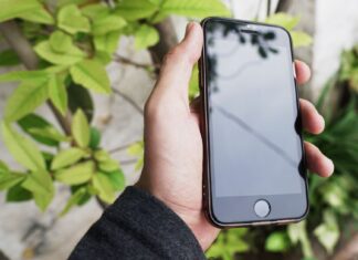 Ochota na słodycze wieczorem – 8 lekkich deserów zamiast podjadania Smartfon trzymany w dłoni na tle zielonych liści