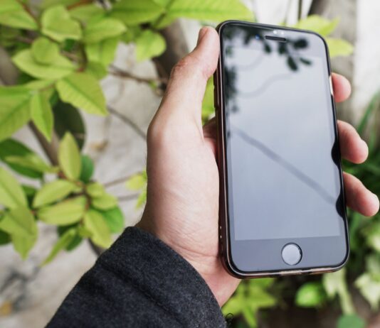Smartfon trzymany w dłoni na tle zielonych liści