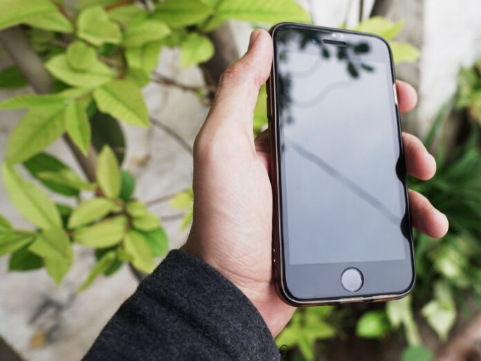Smartfon trzymany w dłoni na tle zielonych liści